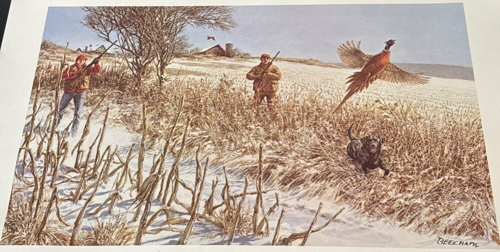 Remington Wildlife Litho Print 16x12 1978 Red-Necked Pheasant & Cardinal Bird